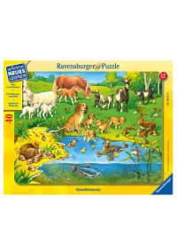 40tlg. Puzzle "Tiere und ihr Nachwuchs" - ab 4 Jahren Ravensburger