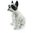 dekorative französische Bulldogge schwarz-weiß